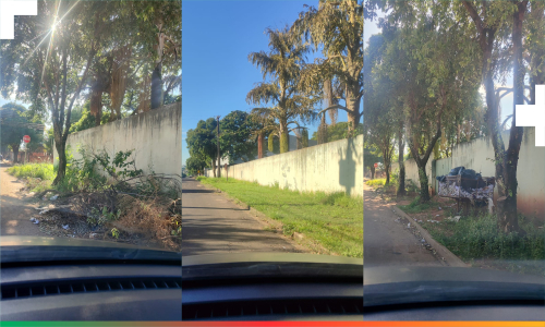 Primeira Notícia